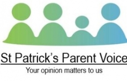 Parent voice questionnaire