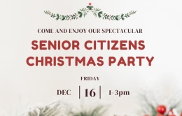 Senior Citizens Christmas Party 2022